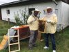 bienen
