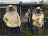 bienen1