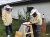 bienen2